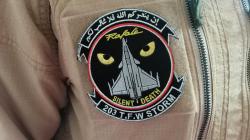 203 Tactical Fighter Wing 